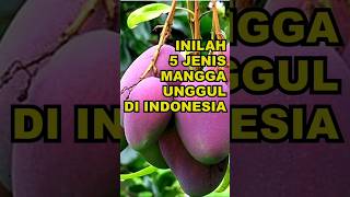 Download lagu Inilah 5 Jenis Mangga Unggul di Indonesia #ekoazis mp3 Download lagu Inilah 5 Jenis Mangga Unggul di Indonesia #ekoazis mp3