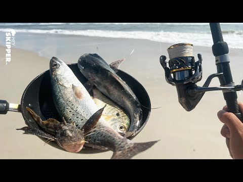 Eating EVERY FISH on the Beach! (7 Species!) Beach Fishing Catch & Cook
