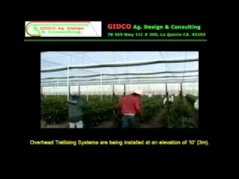 Thumbnail for GIDCO Ag Video — English