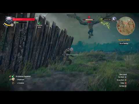 Witcher 3 Best way to kill strong enemies