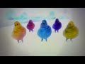 The Boohbahs Do Swingy Twirls To The Hats Off To BJ End Credits