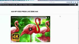 WP Video Press Review and Demo