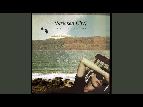Animal Festival - Stricken City