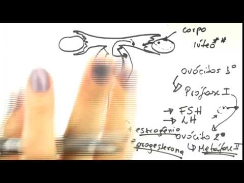 [AO VIVO] Me Salva! ENEM 2014 - As questões mais difíceis da prova de biologia