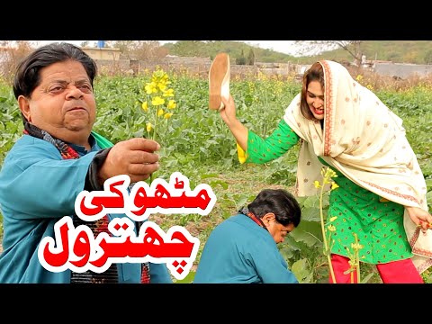Mithu Ki Chhitrol - Pothwari Top Funny Drama - Shahzada Ghaffar Funny Clips - Pothwar Gold