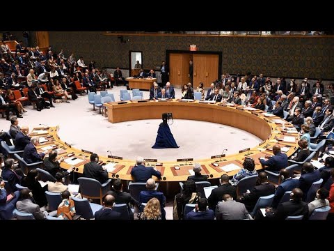 СБ ООН обсуждает поставки западного оружия в Украину