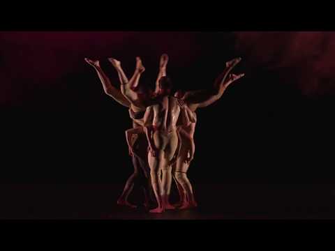 Pilobolus: June 11–29, 2019