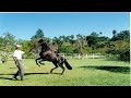 Curso Administração da Pequena Empresa Rural