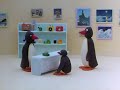Pingu The Photographer Reversed