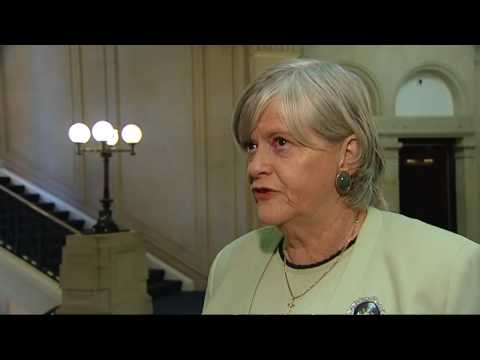 Ann Widdecombe: Innocent MPs deserve a voice