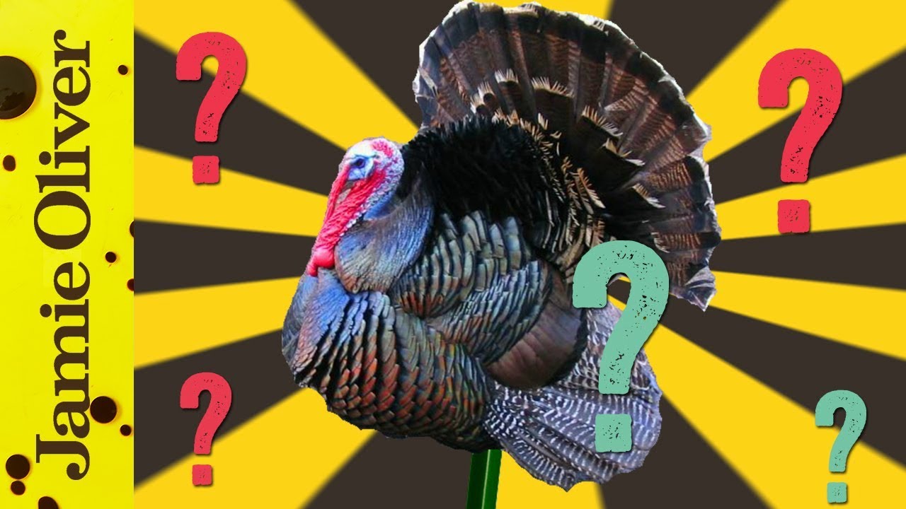Why do we eat turkey at Christmas: Max Shadbolt