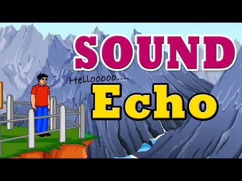 Reflection of sound and echo | CBSE 9 | SSC 9 | Science | Why Do We Hear Echoes? | Home Revise