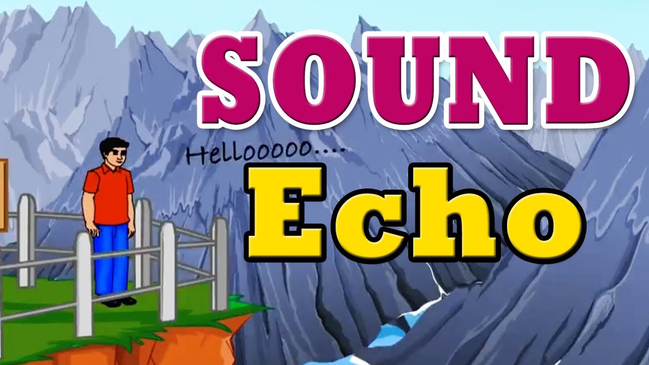 Reflection of sound and echo | CBSE 9 | SSC 9 | Science | Why Do We Hear Echoes? | Home Revise