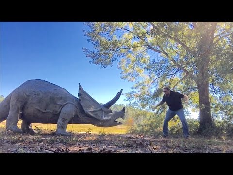 TDW 1603 - Dinosaurs Hidden In The Woods