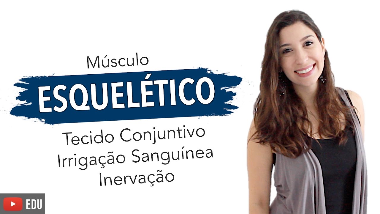 Músculo Esquelético 2/6: Tecido Conjuntivo, Irrigação Sanguínea e Inervação | Anatomia e etc