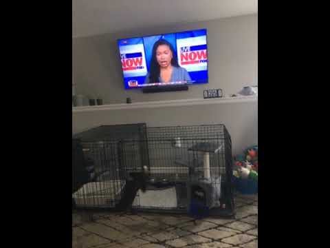 Bad reception take forever for Hulu to come on