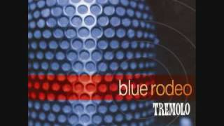 Shed My Skin - Blue Rodeo