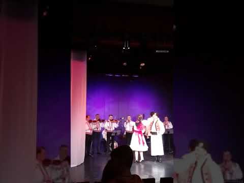 Roxana Gudiu - Trandafir cu trei crenguțe