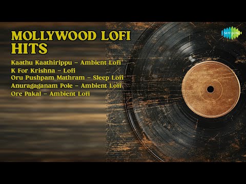 Lofi സ്നേഹം: Malayalm Hits  |  Vineeth Sreenivasan Songs  |  Kaathu Kaathirippu  Ambient