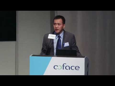 Coface 2015 Country Risk Conference - Opening Remarks - Joe Louie, Coface