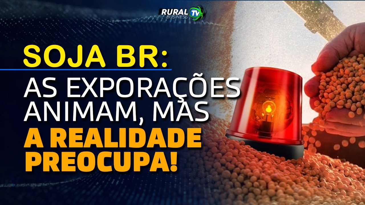 SOJA BR: AS EXPORAÇÕES ANIMAM, MAS A REALIDADE PREOCUPA!