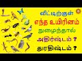 வீட்டிற்குள் எந்த உயிரினம் வந்தால் அ