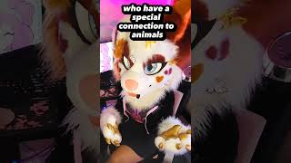 What is a furry 🤷‍♀️ #furries #fursuit