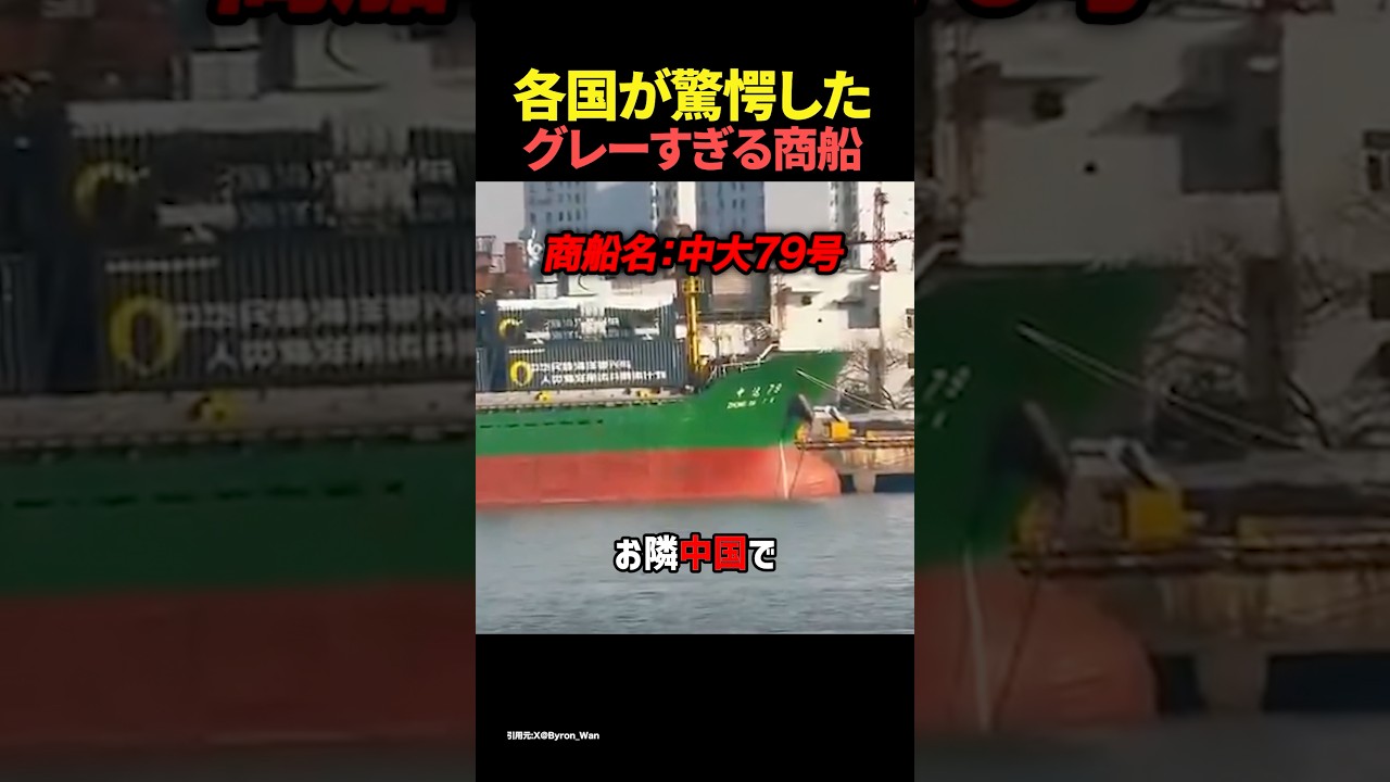 各国が驚愕したグレーすぎる商船