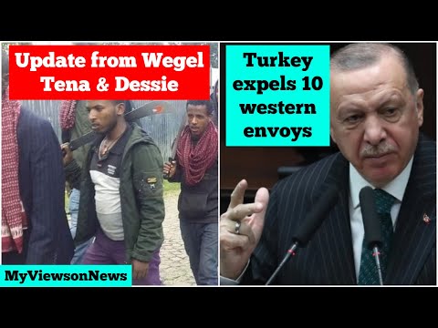 Update from Wegel Tena & Dessie | Turkey expels 10 western ambassadors