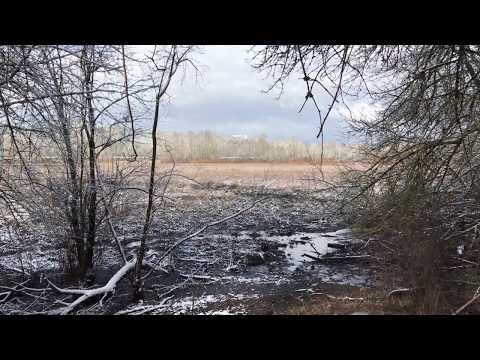 Chad Crouch - Untitled Prelude