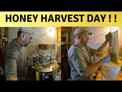 , title : 'How I harvested Honey using a HillCo MiniMax - Most Ever from my Apiary ! !'