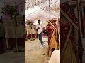 New Shekhawati Sikar Wedding Dance Program Video Rajasthani Dance Program Dance Dj Shortvideo
