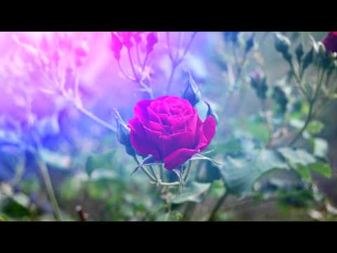 Little Locket - Brighten