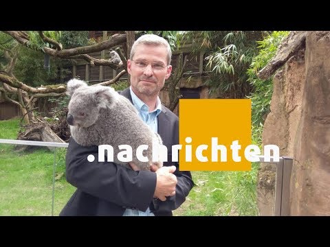 STUDIO 47 .nachrichten | 07.06.2018 | ZOODIREKTOR ACHIM WINKLER VERLÄSST ZOO DUISBURG