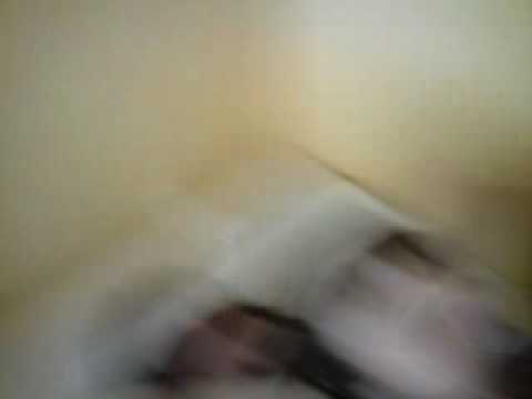 Freddy das Lieblingsopfer von Stuhl :D