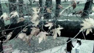 Shpresim Zylbehari - Vec Nje Here