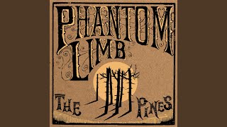 Phantom Limb Akkorde