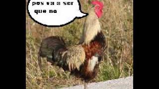 Manolo Kabezabolo - El aborto de la gallina