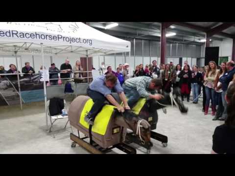Equicizer Battle Between Remi Bellocq and trainer Joe Sharp
