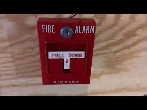 New System Test 4: Mechanical Horns (2018 New Year's Special)