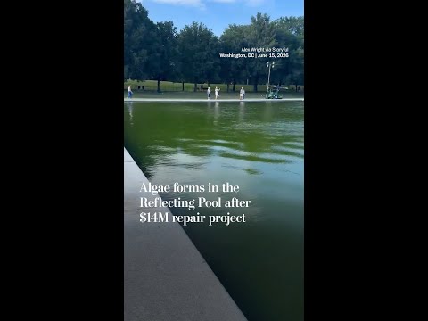 Algae forms in the Reflecting Pool after $14M repair project