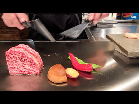 Unfortunately, you will never eat at this exquisite (yet inexpensive) Teppanyaki in Japan