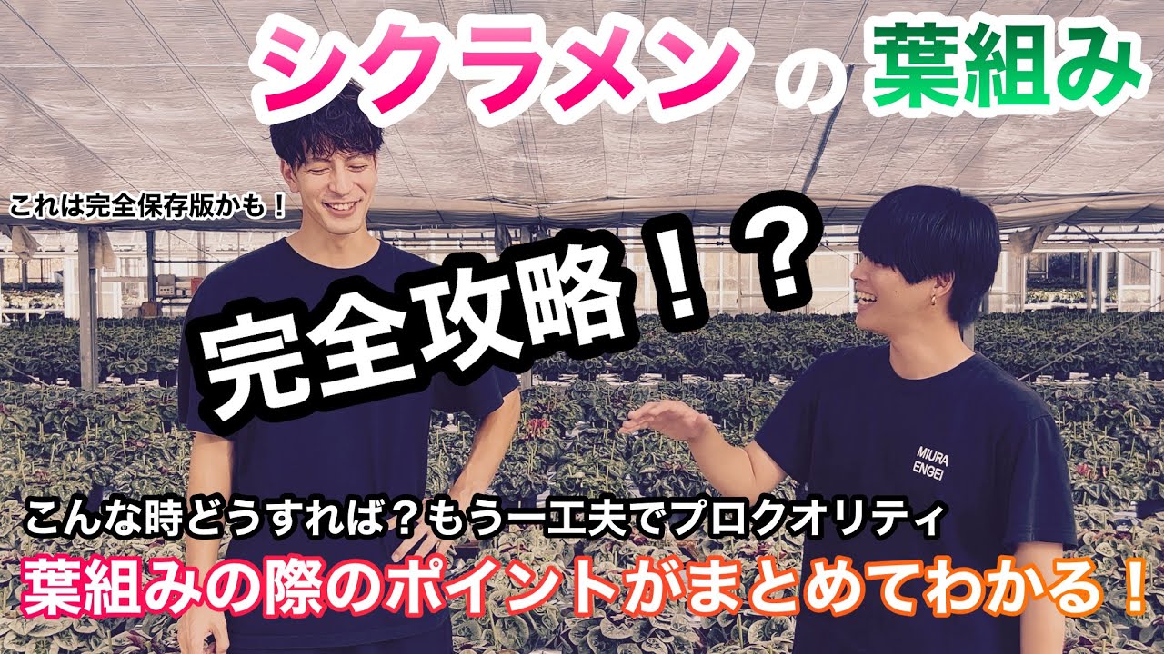 〈ポイント解説付〉すぐに実践！プロクオリティの葉組みを完全攻略！