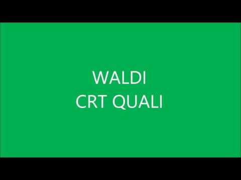 WALDI | CRT 2016 2.0 Qualifikation