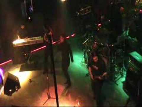 Autumn Leaves - The Awake