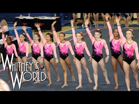 Whitney Bjerken | 5 ° livello 8 Ginnastica Incontra | new team