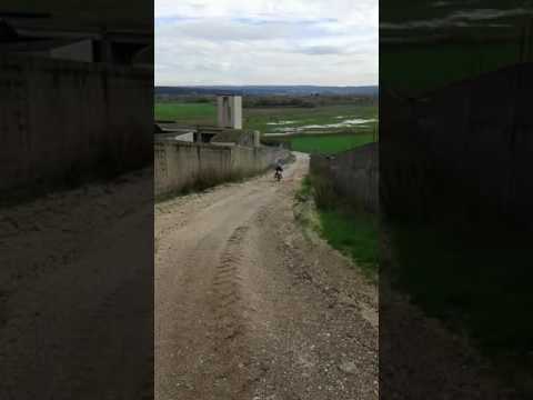 De pequeno e que se começa Miguel Faustino