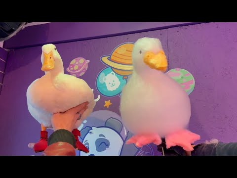 I took my duck to cotton candy (and a hat store)