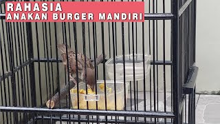 Download lagu agar burung gereja mandiri mp3