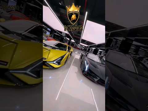 Lamborghini Sian and Lamborghini Veneno - Lamborghini King #lamborghini #veneno #sian  #showroom